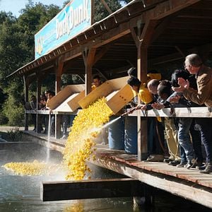 Foto NAVY: Investigación criminal