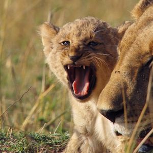 Foto Crecer en la naturaleza