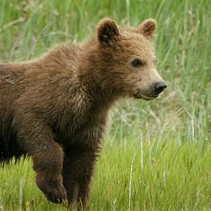 Foto Crecer en la naturaleza