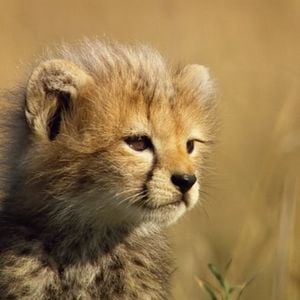 Foto Crecer en la naturaleza