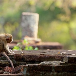 Foto Crecer en la naturaleza
