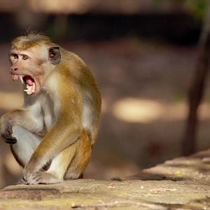 Foto Crecer en la naturaleza