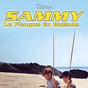 Foto Sammy, the Way-Out Seal