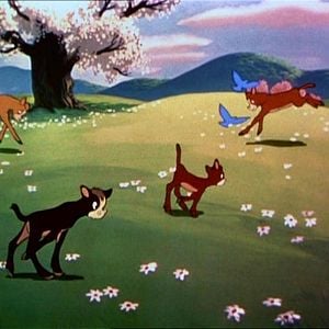 Foto Las aventuras de Bongo, Mickey y las judías mágicas