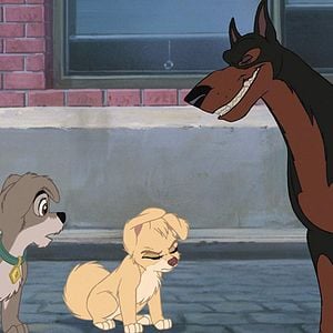 Foto La dama y el vagabundo 2: Las aventuras de Scamp