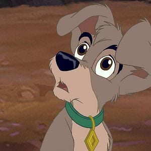 Foto La dama y el vagabundo 2: Las aventuras de Scamp