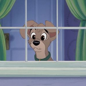 Foto La dama y el vagabundo 2: Las aventuras de Scamp