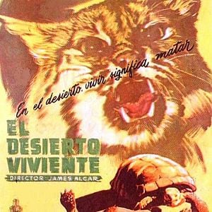 Foto El desierto vivo