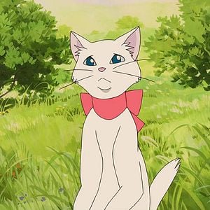 Foto Neko no ongaeshi