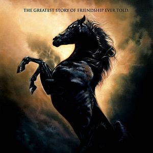 Foto Shetan, el caballo del desierto