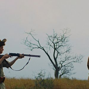 Mosquito - Película 2019