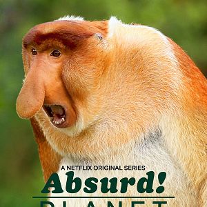 Foto Un planeta absurdo