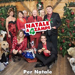 Foto Palacio para perros