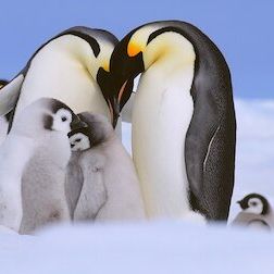 Foto Un planeta absurdo