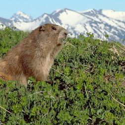 Foto Un planeta absurdo