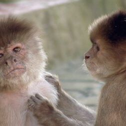 Foto Un planeta absurdo