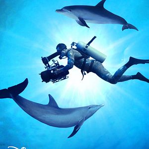 Foto Nadando con delfines