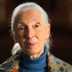 Foto Jane Goodall