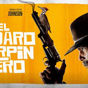 Foto El pájaro carpintero