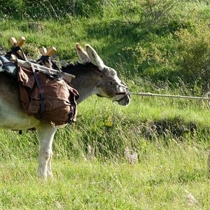 Foto Vacaciones contigo... Y tu mujer