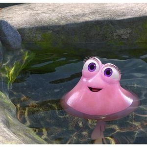 Foto ¡Upsss 2! ¿Y ahora dónde está Noé?