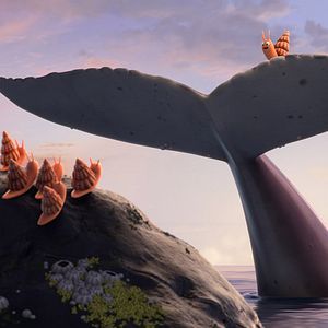 Foto El caracol y la ballena