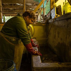 Foto Nadie sabe que estoy aquí