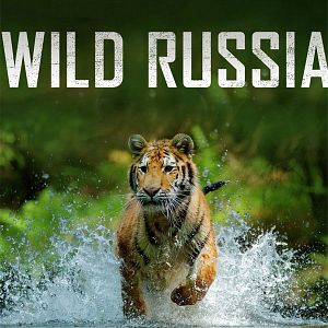 Foto Russlands weite Wildnis
