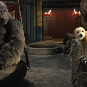 Foto El magnífico Iván