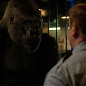 Foto El magnífico Iván