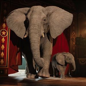 Foto El magnífico Iván