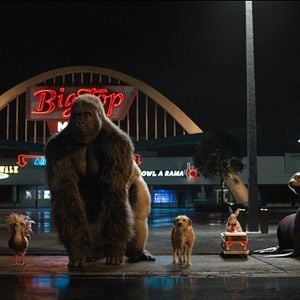 Foto El magnífico Iván