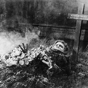 Foto La plaga de los zombies