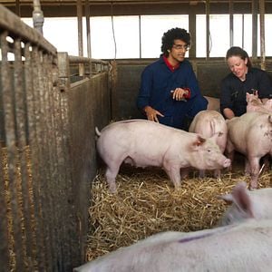 Foto Superconectados