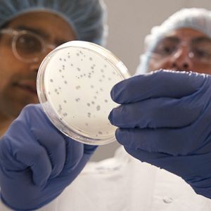 Foto Superconectados