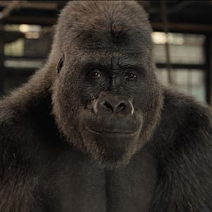 Foto El magnífico Iván