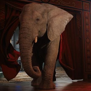 Foto El magnífico Iván