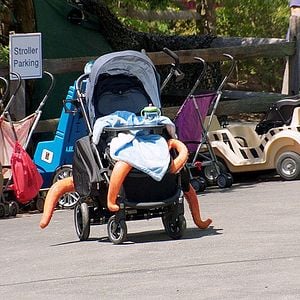 Foto Pixar en la vida real