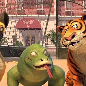 Foto Mascotas unidas