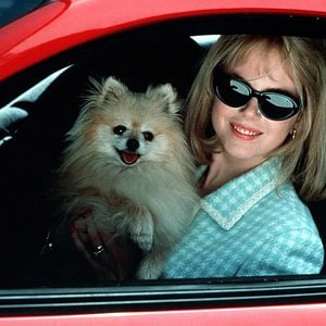 Foto Todo por un sueño