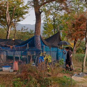 Foto La mujer que escapó