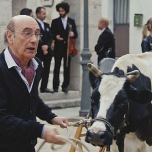 Foto Historias de Alcafrán