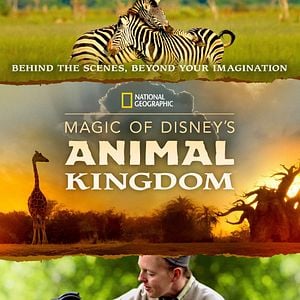 Foto La magia de Animal Kingdom de Disney