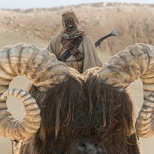 Foto The Mandalorian