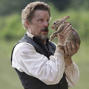 Foto El pájaro carpintero