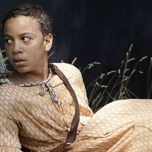 Foto El pájaro carpintero