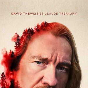 Foto El bosque infinito