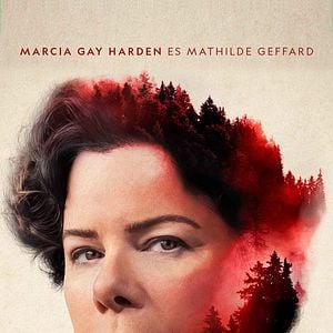 Foto El bosque infinito