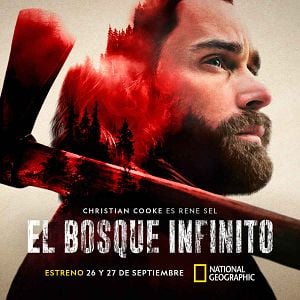 Foto El bosque infinito