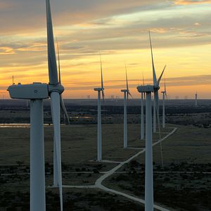 Foto David Attenborough: Una vida en nuestro planeta